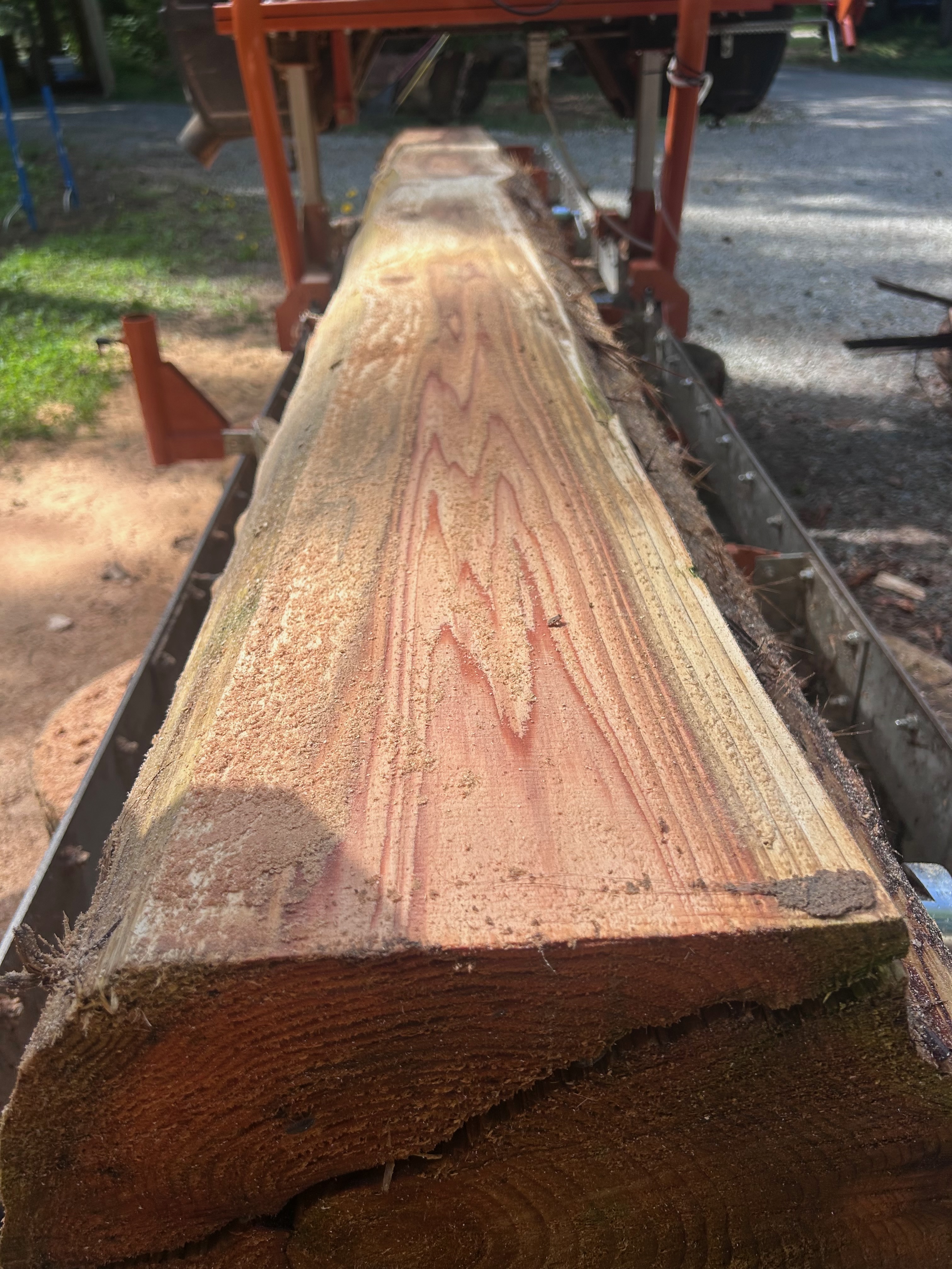 The first cut — opening the log to create a flat reference face